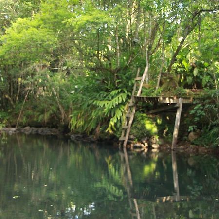 Casa De Campo - Sitio Da Tia Vera Villa Maquiné Esterno foto